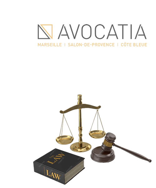 Avocat conseillant un club de la Fédération Mix Fighting System France