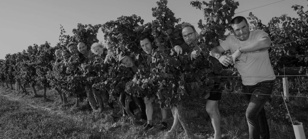 Les vignerons de la coopérative des Vignerons d’Oléron réunis dans les vignes, photo noir et blanc